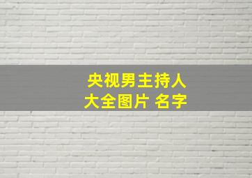 央视男主持人大全图片 名字